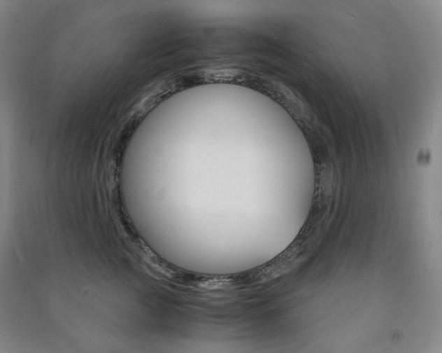 X0000091500761200708161233