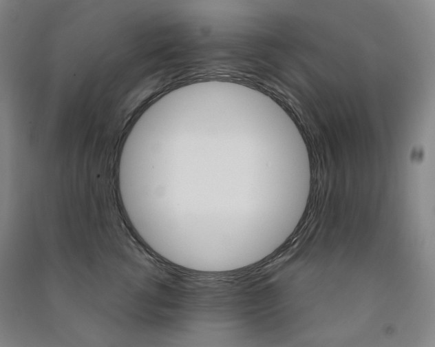 X0000091500762200708161233