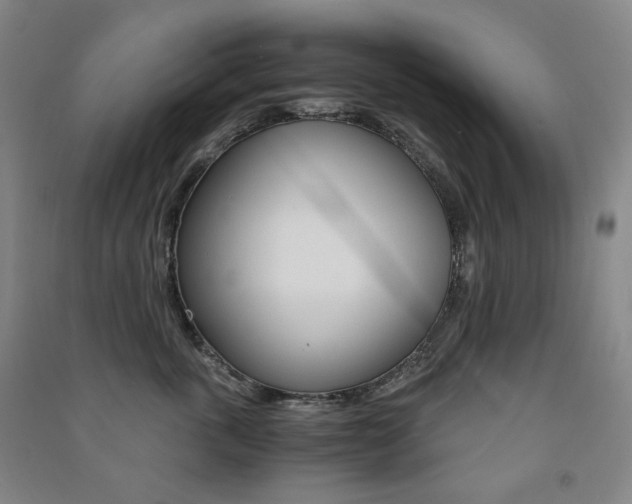 X0000091500763200708161234