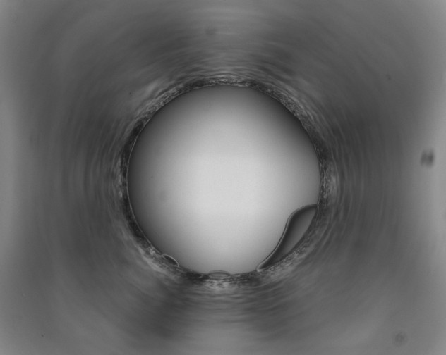 X0000091500764200708161234