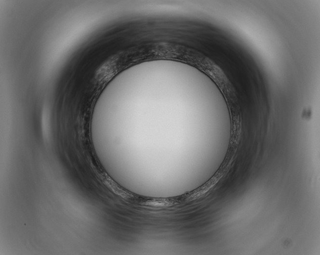 X0000091500765200708161234