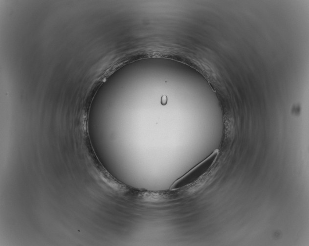 X0000091500766200708161234