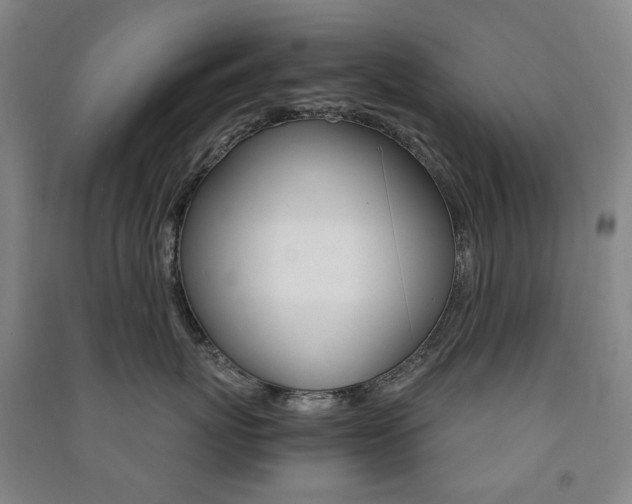 X0000091500767200708161234