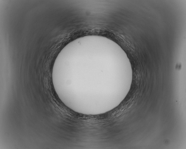 X0000091500769200708161233