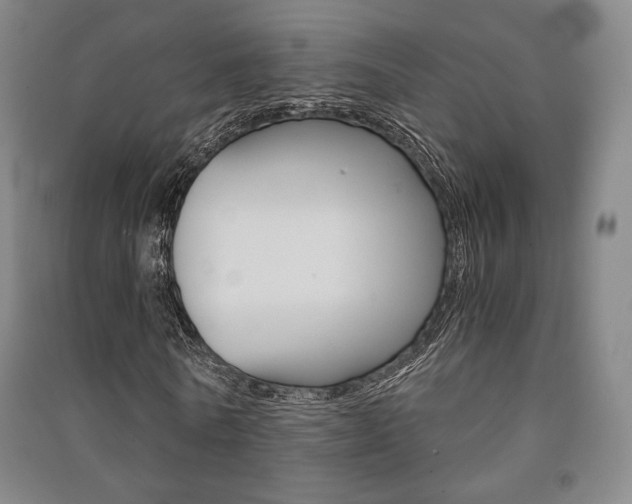 X0000091500770200708161233