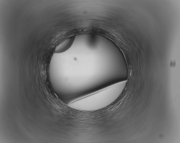 X0000091500771200708161233