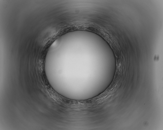 X0000091500772200708161233