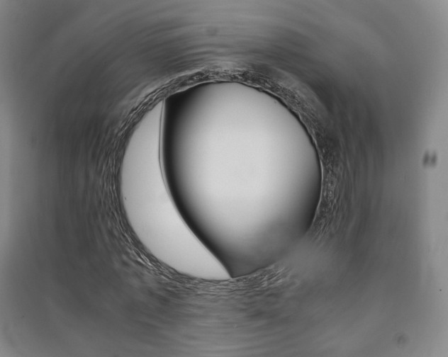 X0000091500773200708161233