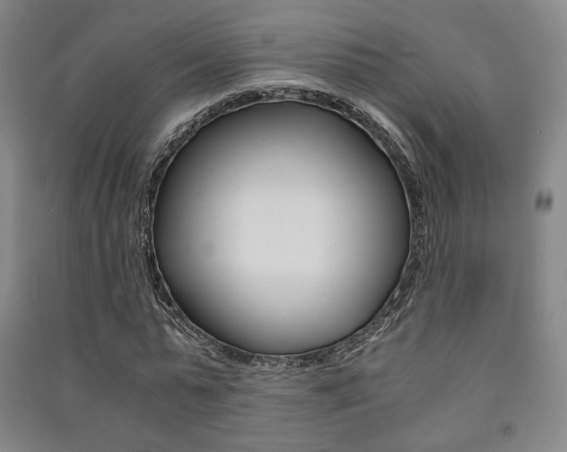 X0000091500775200708161233