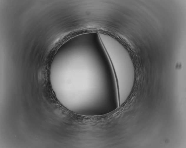 X0000091500776200708161233