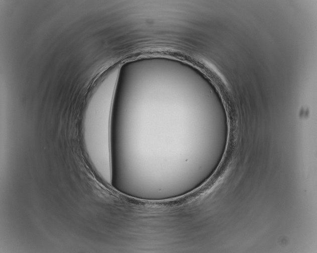 X0000091500777200708161233