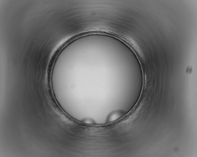 X0000091500780200708161233