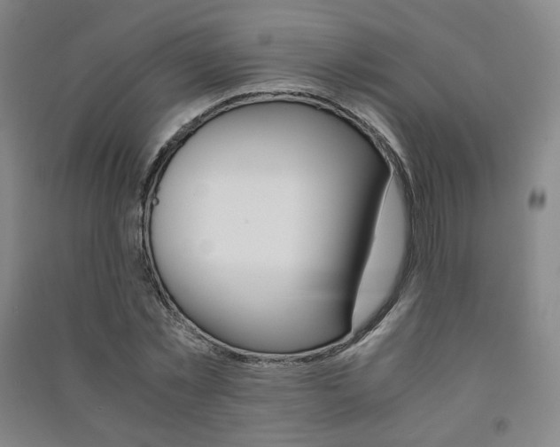 X0000091500781200708161233