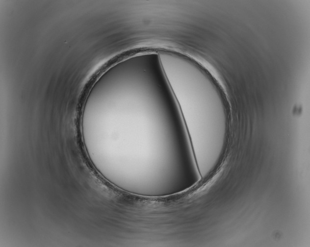 X0000091500783200708161233