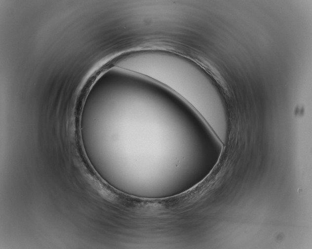 X0000091500784200708161233