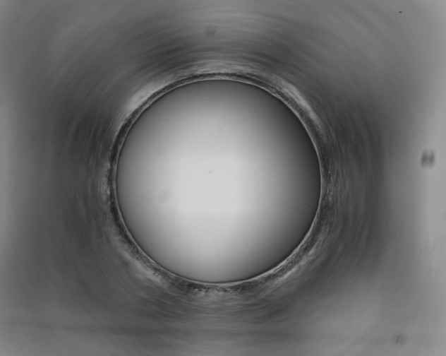 X0000091500786200708161233