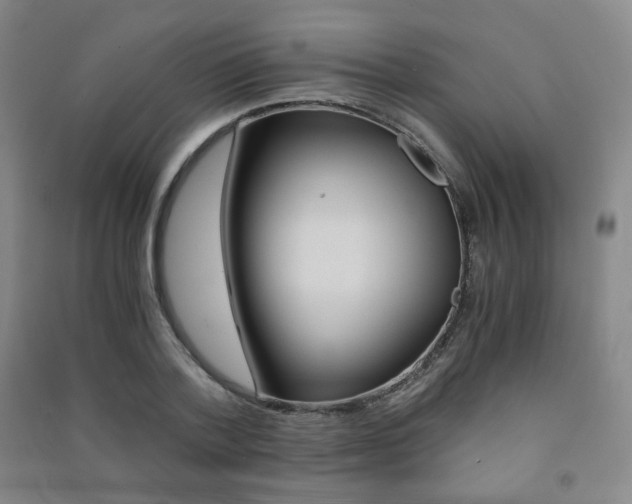 X0000091500788200708161233