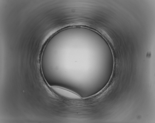 X0000091500789200708161233