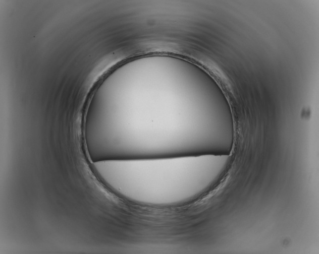 X0000091500790200708161233