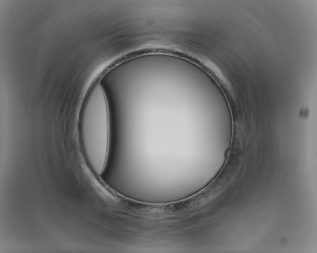 X0000091500791200708161233