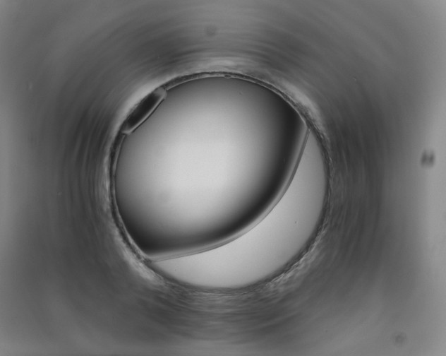 X0000091500792200708161233