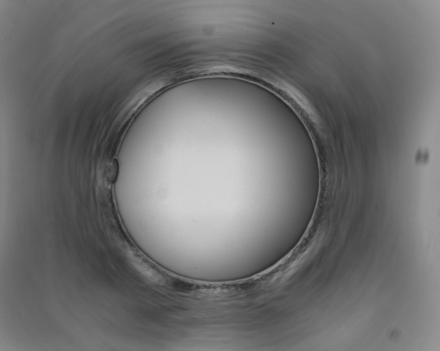 X0000091500793200708161233