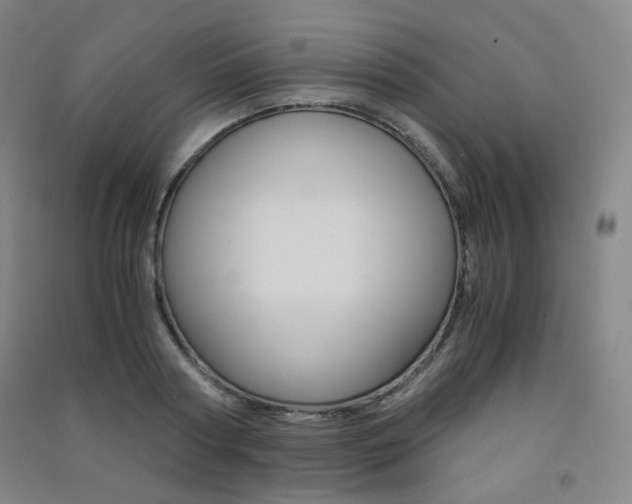 X0000091500794200708161233