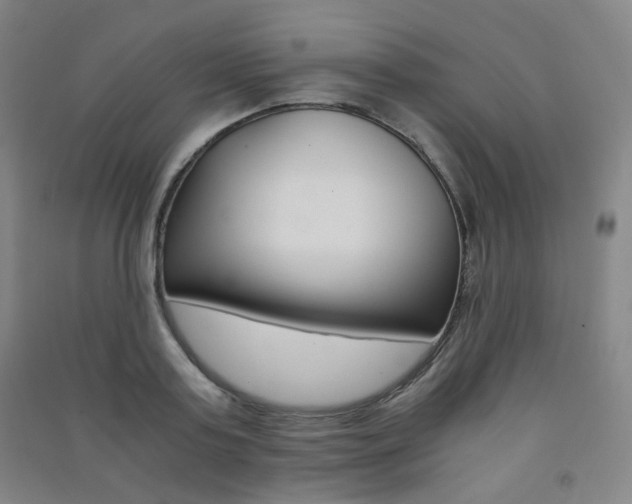 X0000091500795200708161233