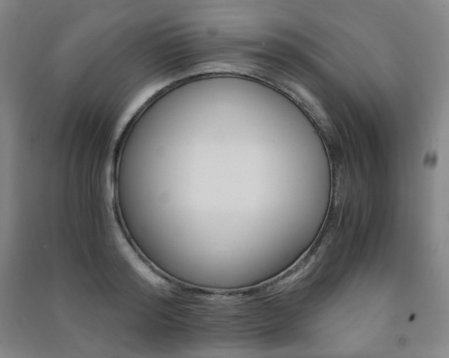 X0000091500796200708161233
