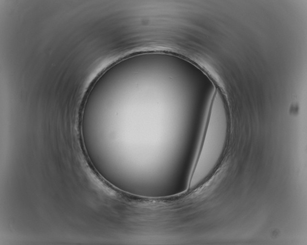 X0000091500797200708161233