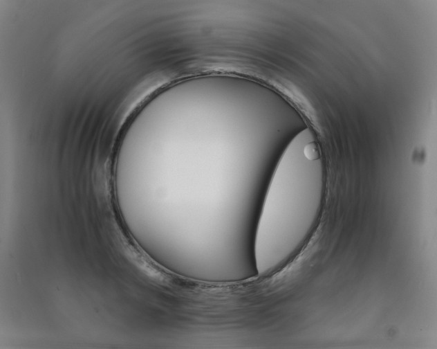 X0000091500798200708161233