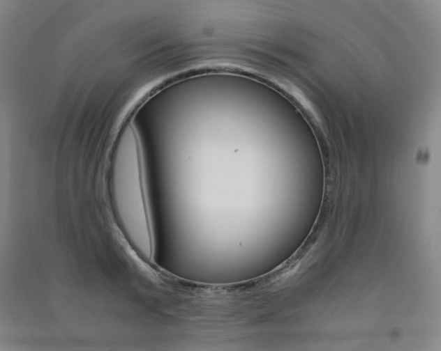 X0000091500799200708161233