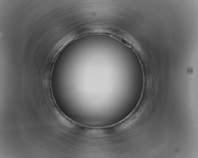 X0000091500801200708161233