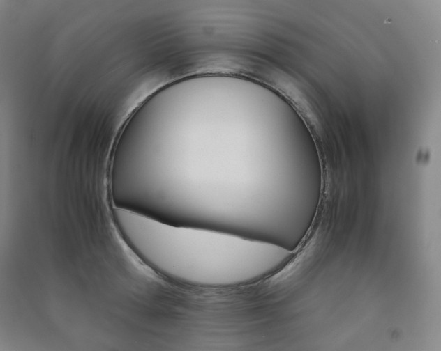 X0000091500802200708161233