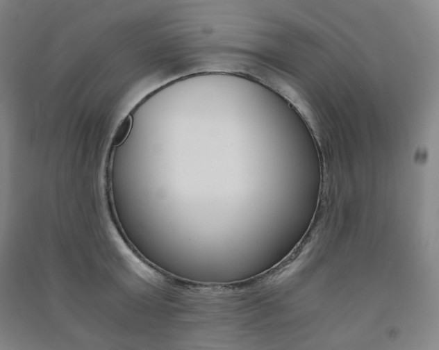 X0000091500803200708161233