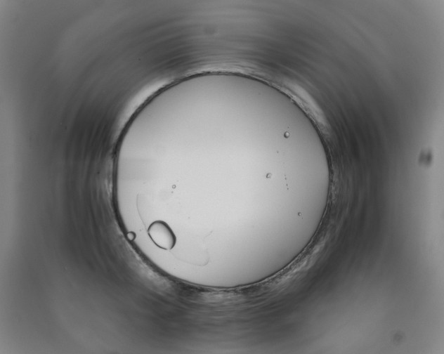 X0000091500804200708161233