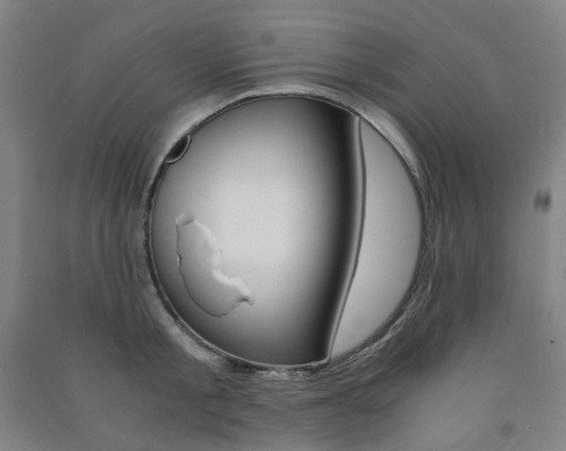 X0000091500805200708161233