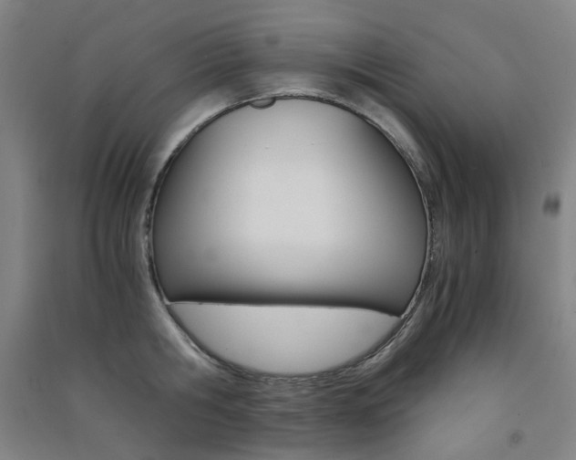 X0000091500806200708161233