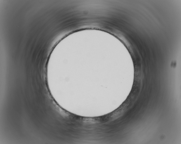 X0000091500807200708161233