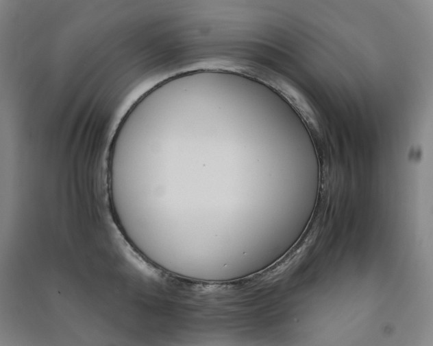 X0000091500808200708161232