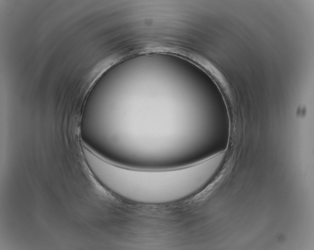X0000091500809200708161232