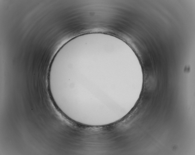 X0000091500810200708161232