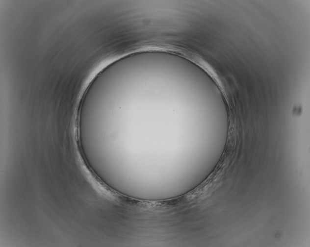 X0000091500811200708161232