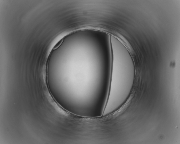 X0000091500812200708161232