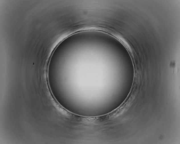 X0000091500813200708161232