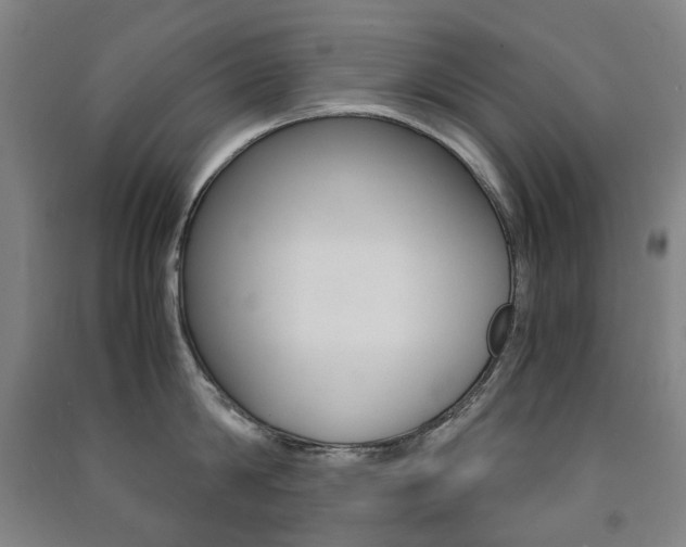 X0000091500814200708161232
