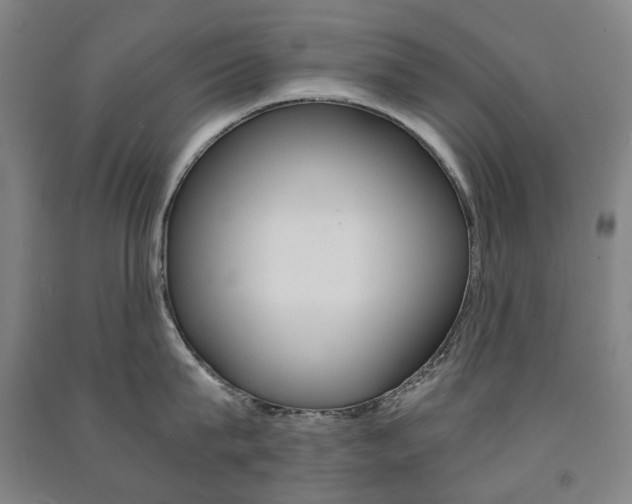 X0000091500815200708161232