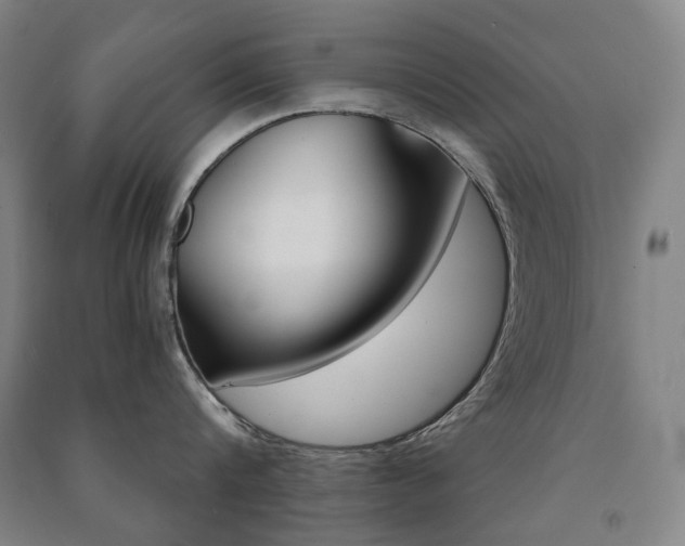X0000091500816200708161232