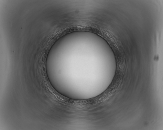 X0000091500817200708161232