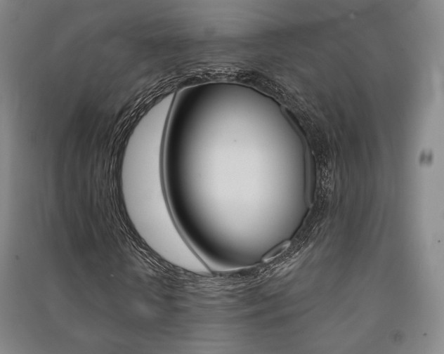 X0000091500818200708161232